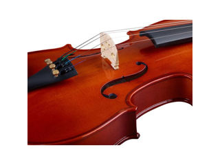 Vioara Stentor SR1018 Violinset 3/4. Livrare gratuita în toată Moldova ! foto 9