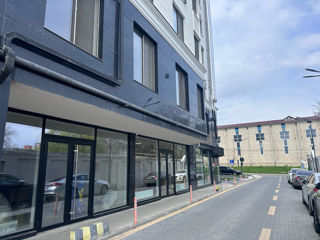 Parter I.Radu Newton House foto 0