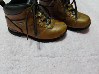 Timberland foto 2