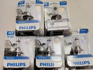 Philips H7 Car Light Standart