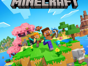 cont minecraft