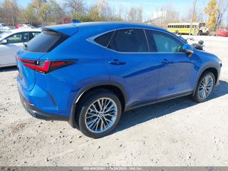 Lexus NX Series foto 7