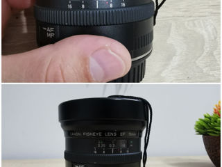 Canon EOS 5D MK-IV (Canon 70-200mm/ Canon EF 15mm/ Canon 28-135mm) foto 9