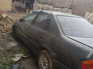 Nissan Primera foto 3