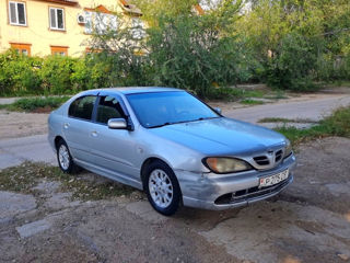 Nissan Primera foto 2