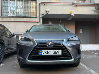 Lexus NX Series