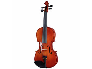 Vioara Stentor SR1018 Violinset 3/4. Livrare gratuita în toată Moldova ! foto 2