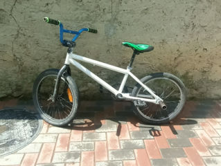 BMX фото 0
