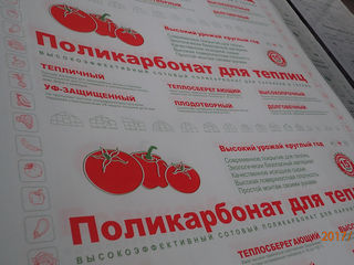 New-new-new. поликарбонат для теплиц. Поликарбонат листовой - Низкие цены в Молдове. 48 лей метр/кв. фото 3