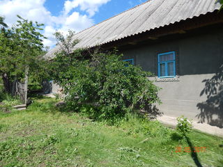Urgent!Se vinde casă în satul Doroțcaia,rn.Dubăsari cu 4500 Euro.Pentru cumpărător real negociem! foto 4