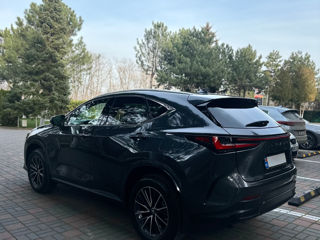 Lexus NX Series foto 8