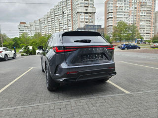 Lexus NX Series foto 6