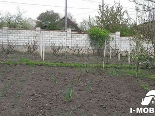 6 ari la Tohatin,linga restoranul ,,Hanul lui Vasile", doi km. de la Chisinau . foto 6