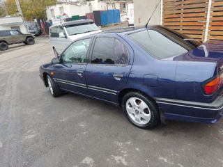 Nissan Primera foto 2