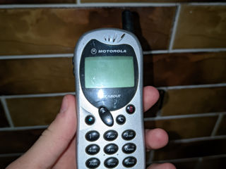 Motorola T205