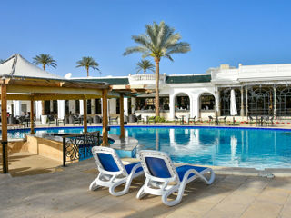 Шарм Эль Шейх!  Отель  "Seti Sharm Resort 4*" Вылет 15.12.2024! foto 7