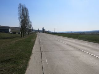 Pământ agricol consolidat cu suprafața 11.69 ha lângă traseul Chișinău-Bălți (beton). 2530102.195. foto 2