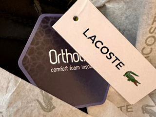 Lacoste Original foto 10