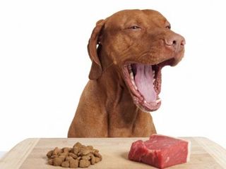 Магазин: мясо для собак, мясопродукты и сухие корма для собак и кошек, carne, carne pentru animale foto 1