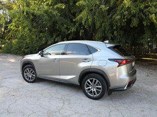 Lexus NX Series foto 6