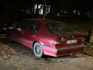 Nissan Primera foto 2