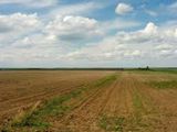 Cumpăr cote de teren agricol în satul Camenca raionul Glodeni foto 1