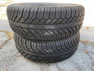 205 60 r16   Michelin foto 5