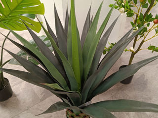 Perete din plante artificiale foto 12