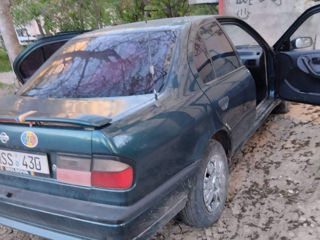 Nissan Primera foto 6