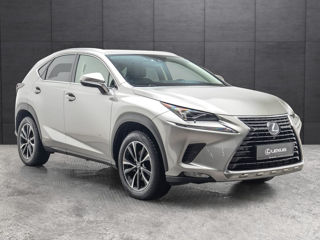 Lexus NX Series