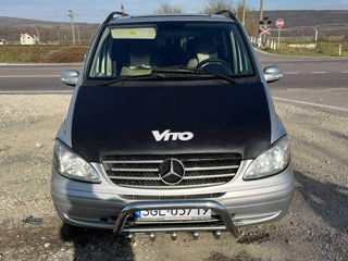 Mercedes Viano