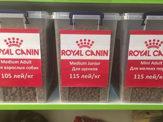 Сухие корма Royal Canin, BewiCat на развес с доставкой на дом и другое foto 3