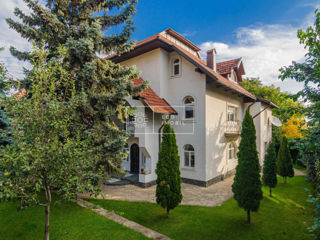 Chirie, casă, str. Nicolae Testemițanu, Centru, 400 m.p, 5000€