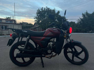 Alpha Moto CM110-2A RED foto 5