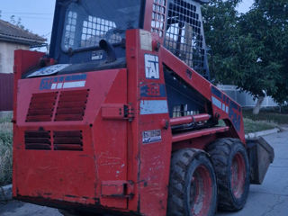 Bobcat fai 333 foto 2