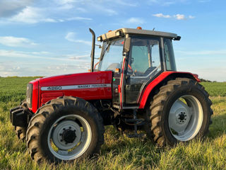Massey Ferguson 4260 foto 1