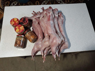 Carne de iepure, proaspătă, direct de la producător foto 2