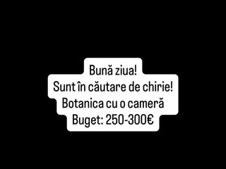 Ap. 1 cam., 45 м², 2/5 et.
