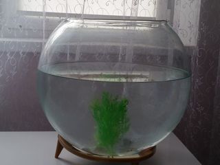 Круглый аквариум на 20 литров. foto 1
