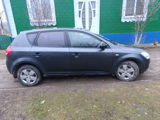 KIA Ceed foto 4