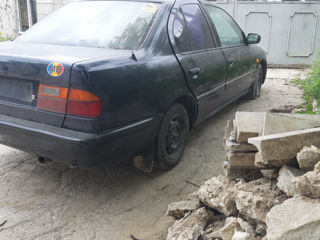 Nissan Primera foto 3