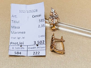 Cercei Proba 585, 3502 lei