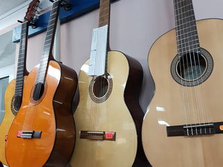Новые поступления гитар акустических гитар в музыкальном магазине Pro-Arta !!! foto 9