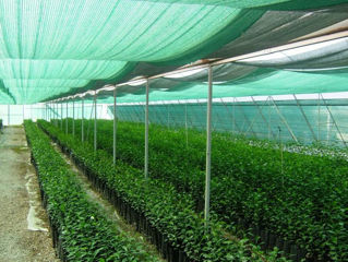 Plasa De Umbrire Grad:40%, 30Gr, H:3M (Verde)/100 - x3 - livrare / credit / agroteh фото 2
