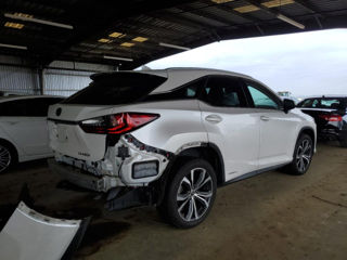 Lexus RX Series foto 6