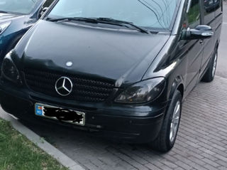 Mercedes Viano foto 6