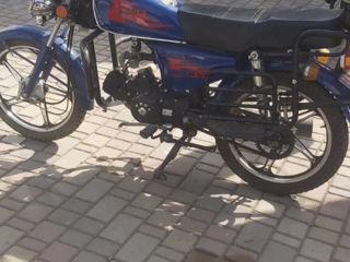 Orox 500