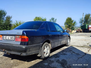 Nissan Primera foto 3