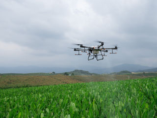 Stropire culturi cu Drone Agricole foto 1