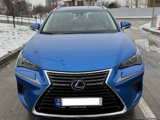 Lexus NX Series